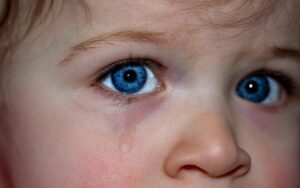 子どもに目にいいサプリはどれが効果的？