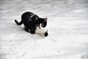 小学生のドライアイを冬に防ぐための効果的な対策は？