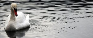 朝日を浴びることが目に良い理由とは？
