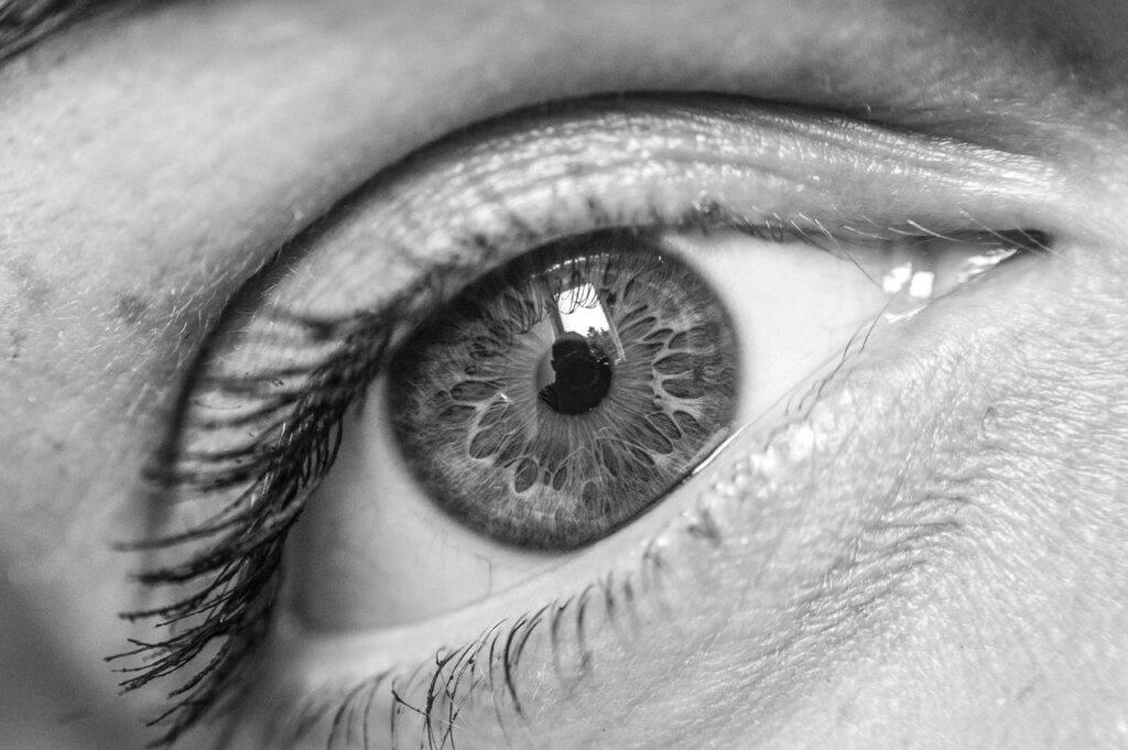 運動不足が視力低下に与える影響に関する研究とは？