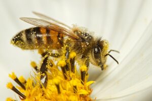 小学生が花粉症とドライアイを併発した時の対策は？
