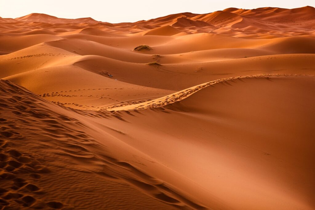 小学生の目が乾燥して泣きやすい原因と対策は？