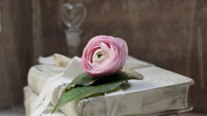 本を読みすぎると視力が悪くなるのは本当ですか？