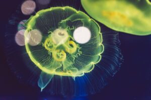 小学生の春休み中に生活リズムを整えるための目安は？