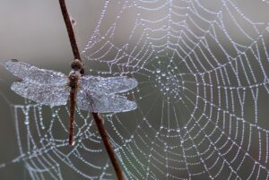 小学生の目の運動が持つ効果とは？