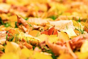 季節の変わり目に注意が必要な子どものドライアイ対策は？