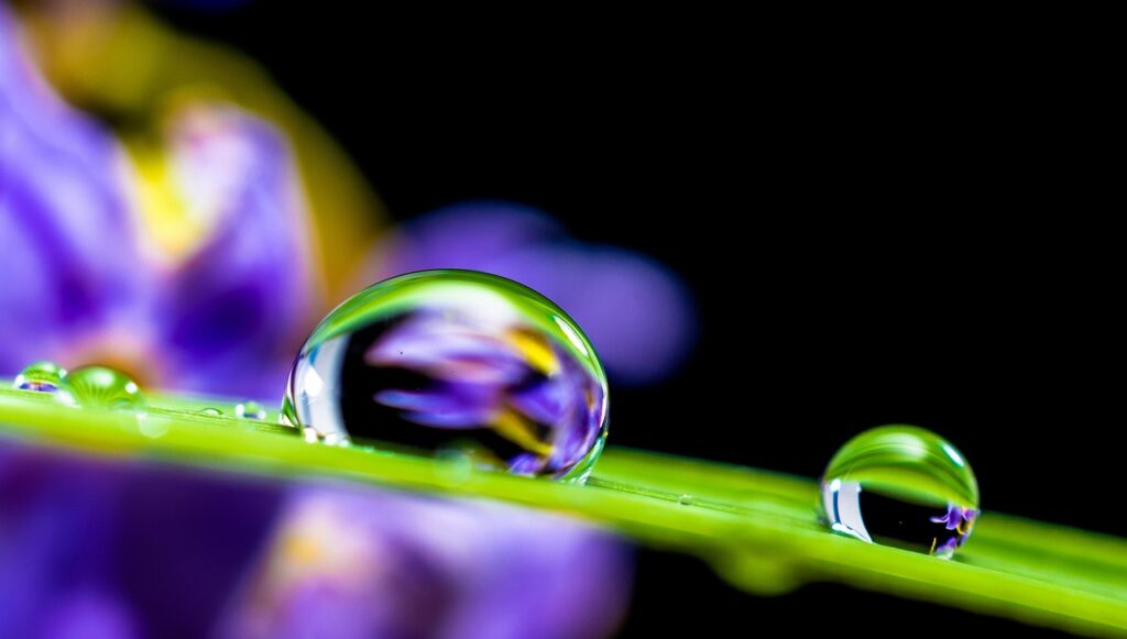 水分不足が原因で子どもにドライアイが起こる理由とは？