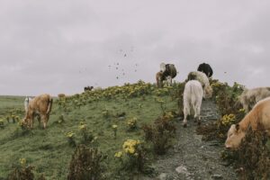 目をこする癖をやめさせたい場合の効果的な対策は？