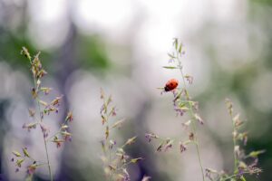 目を守る部屋作りを小学生と一緒に考える方法は？